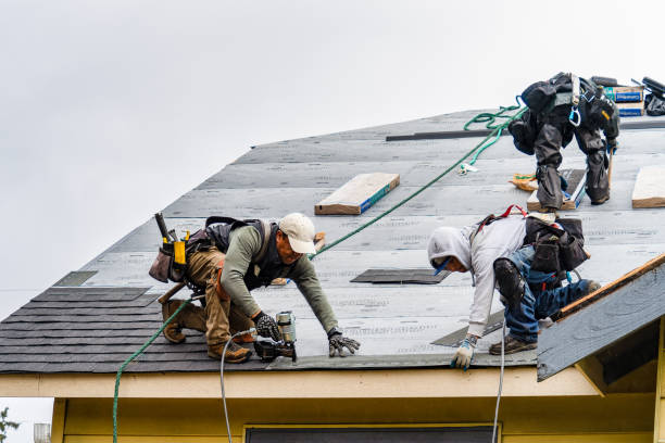 Professional Storm Damage Roof Repair technician working in Drake, CO